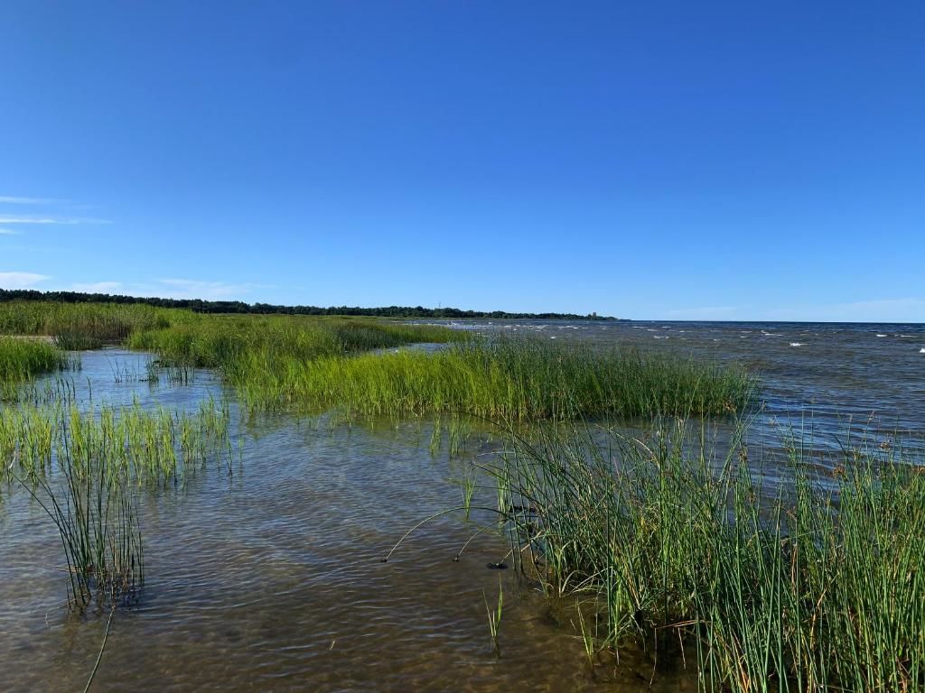 Дома для отпуска Seaside house Ragakrasts Мерсрагс